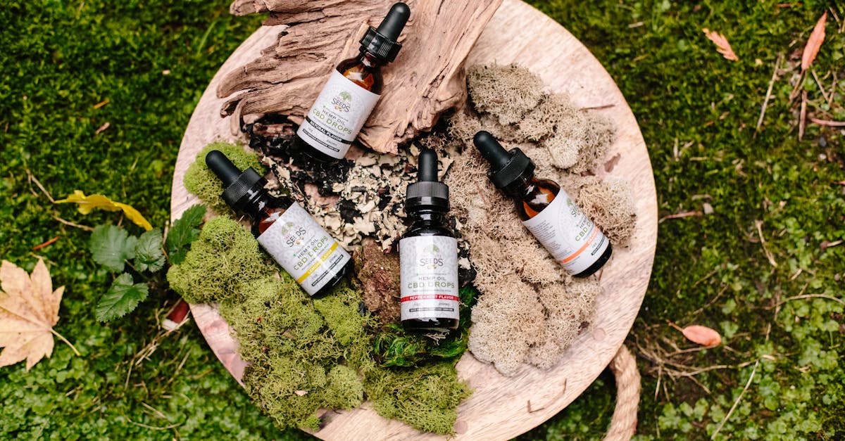 découvrez le monde fascinant des huiles essentielles, leurs bienfaits pour la santé, leurs usages variés en aromathérapie et en soin naturel. apprenez à intégrer ces trésors de la nature dans votre quotidien pour un bien-être optimal.