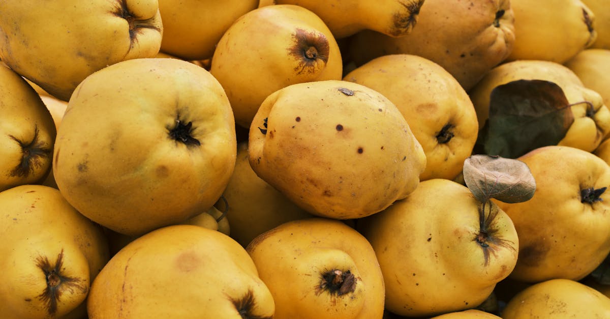 découvrez tout ce qu'il faut savoir sur les allergies alimentaires : causes, symptômes, conseils et recettes adaptées pour mieux vivre avec cette condition. informez-vous et protégez votre santé.