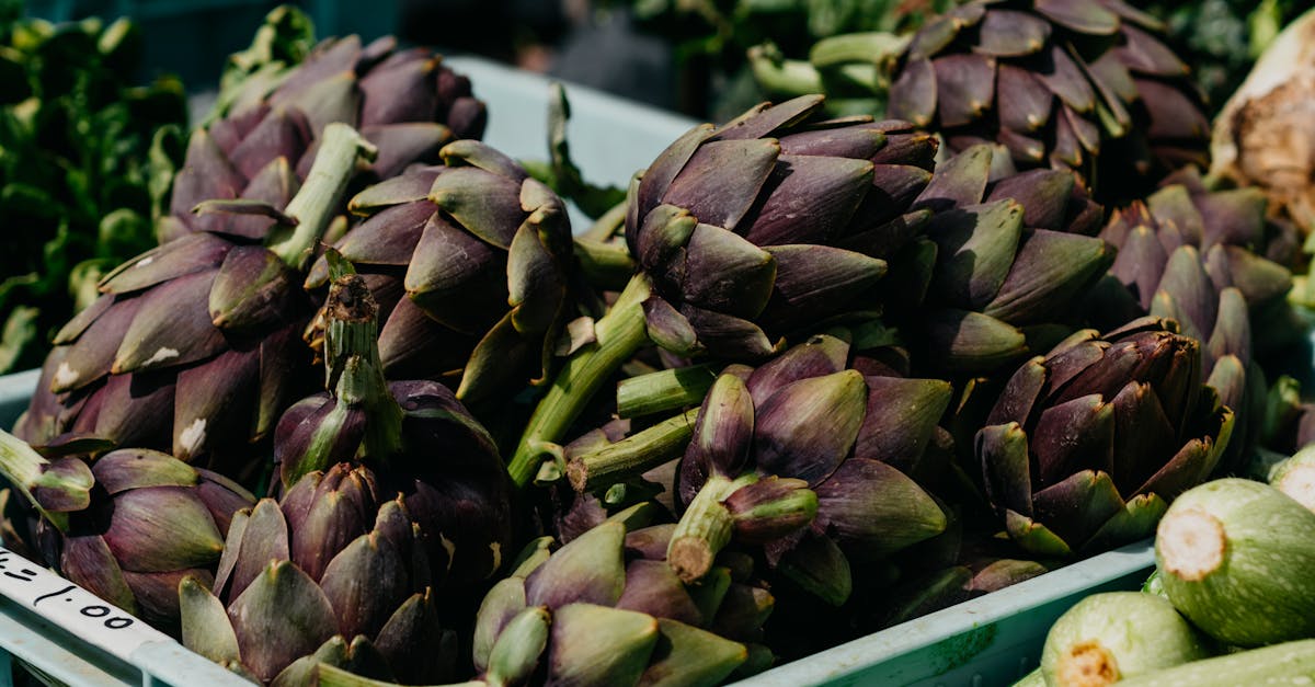 découvrez tout ce qu'il faut savoir sur les allergies alimentaires : causes, symptômes, traitements et conseils pour mieux gérer votre alimentation et celle de vos proches.
