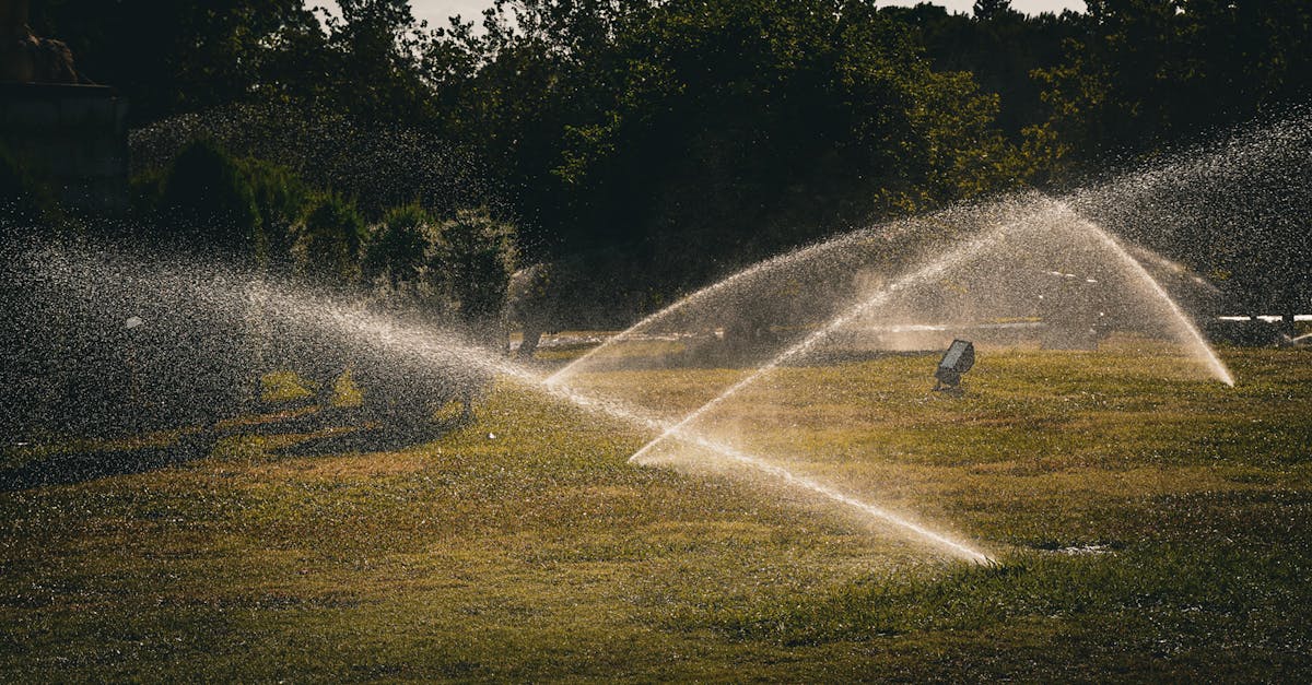 découvrez l'importance de l'hydratation pour le bien-être et la santé. apprenez des conseils pratiques pour rester hydraté tout au long de la journée et améliorer votre qualité de vie.