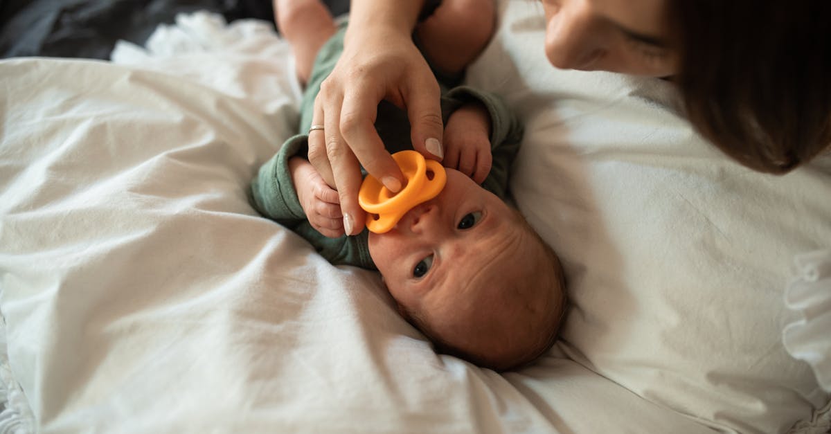 découvrez l'art de pacifier les conflits et de créer des environnements sereins grâce à nos conseils et techniques éprouvés. apprenez à apaiser les tensions et à favoriser l'harmonie dans vos relations personnelles et professionnelles.