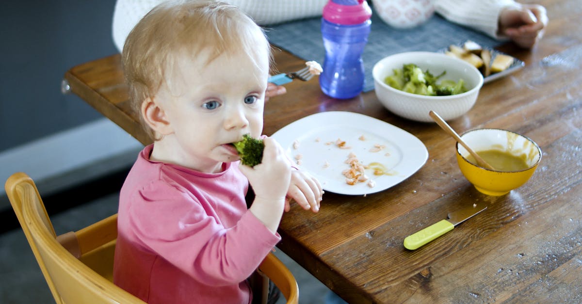 découvrez notre gamme de nourriture pour bébés, préparée avec des ingrédients naturels et nutritifs. offrez à votre enfant des repas sains et savoureux pour une croissance épanouie.