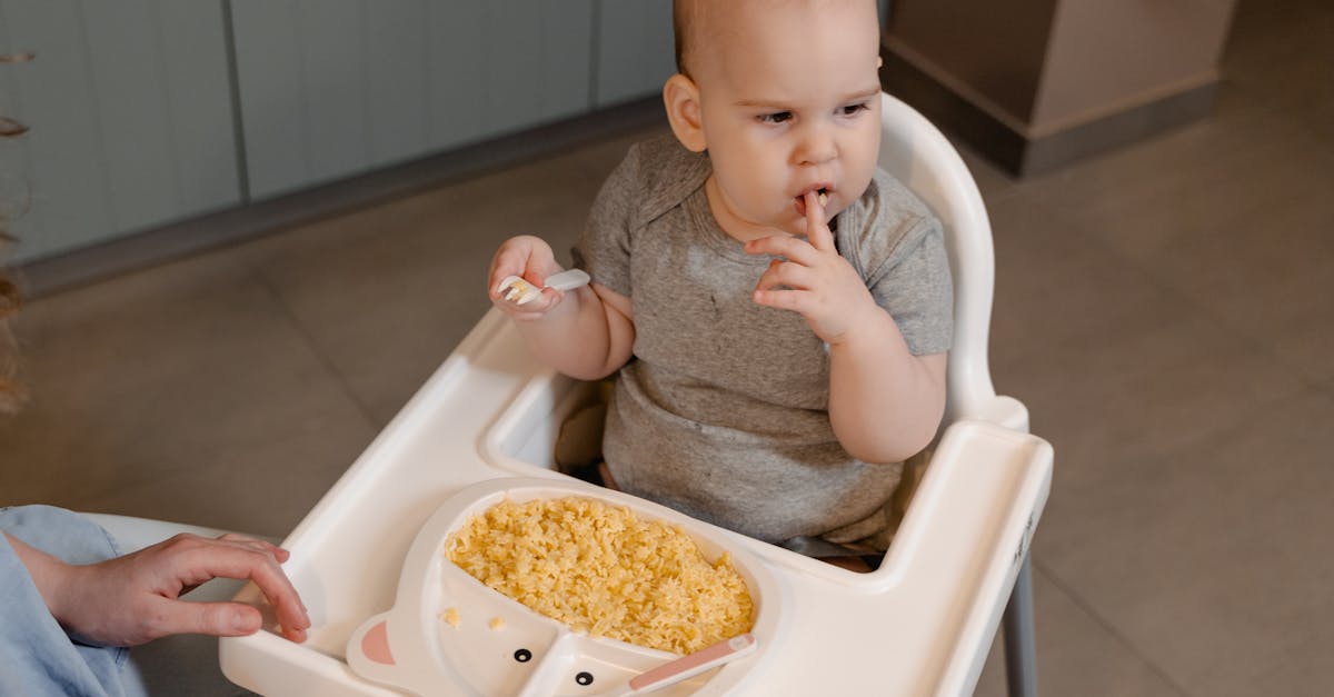 découvrez notre sélection de délicieuses purées et repas pour bébés, spécialement conçus pour nourrir et ravir les petits gourmets. optez pour des aliments sains et nutritifs, adaptés à chaque étape de la croissance de votre enfant.