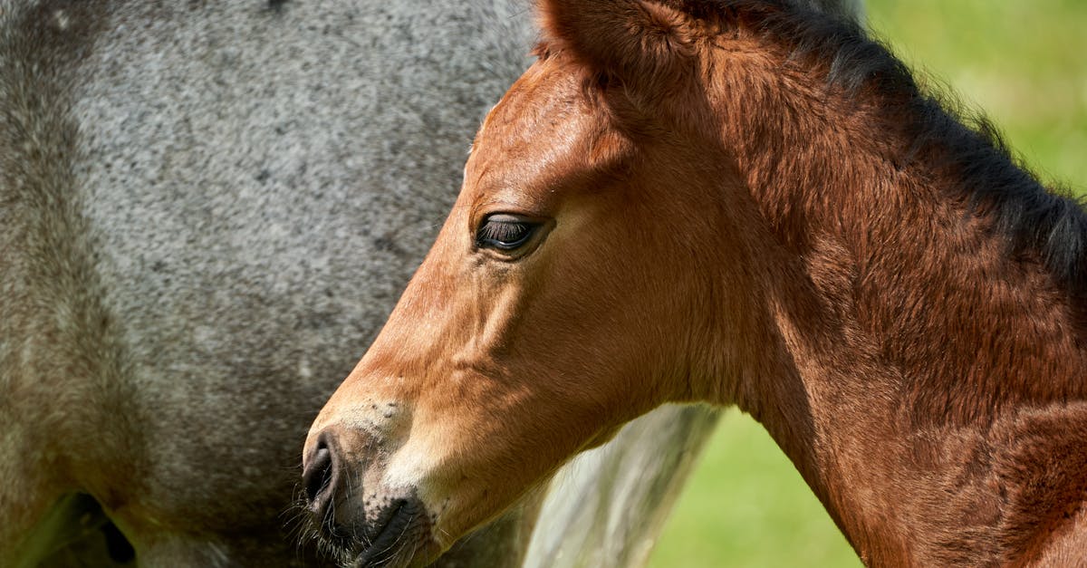 découvrez nos conseils pratiques pour sécuriser votre maison et protéger votre bébé des dangers domestiques. apprenez à anticiper les accidents et à créer un environnement sain et sûr pour votre tout-petit.