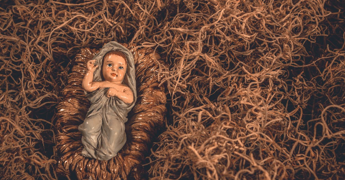 découvrez l'importance et la signification du concept de naissance, une étape essentielle de la vie qui marque le début d'un nouveau voyage. explorez les différentes perspectives culturelles et scientifiques sur la naissance, ainsi que ses impacts sur les familles et les sociétés.