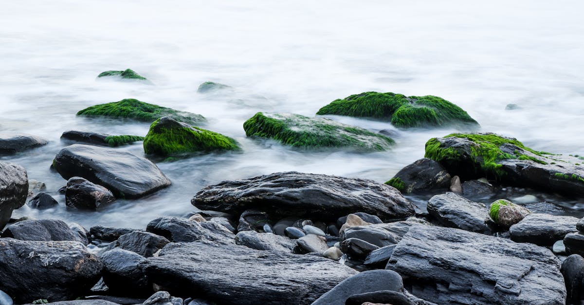 découvrez l'art de la sérénité avec 'calm', une exploration apaisante pour tous ceux qui cherchent à retrouver leur équilibre intérieur. plongez dans des techniques de relaxation, des conseils de méditation et des espaces inspirants pour apaiser votre esprit et nourrir votre bien-être.
