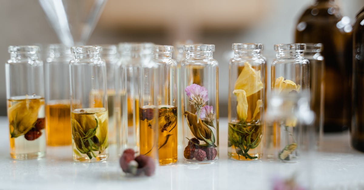 découvrez les bienfaits des huiles essentielles pour votre bien-être. apprenez à les utiliser dans votre quotidien, que ce soit pour la relaxation, l'aromathérapie ou les soins de la peau. transformez votre vie avec ces trésors naturels.