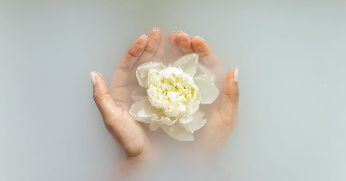découvrez les conseils et astuces pour rendre le premier bain de votre bébé inoubliable. apprenez comment préparer l'espace, choisir les produits adaptés et créer un moment de détente et de plaisir pour votre petit. offrez-lui une expérience douce et sécurisée, tout en profitant de ce moment précieux ensemble.
