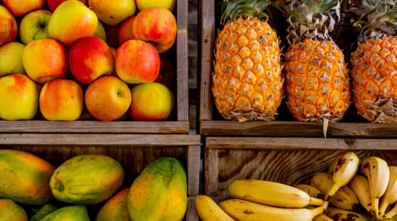 découvrez l'univers des fruits, une source inépuisable de vitamines et de saveurs. explorez les bienfaits nutritionnels, les variétés exotiques et les recettes gourmandes pour savourer chaque bouchée de ces délices naturels.