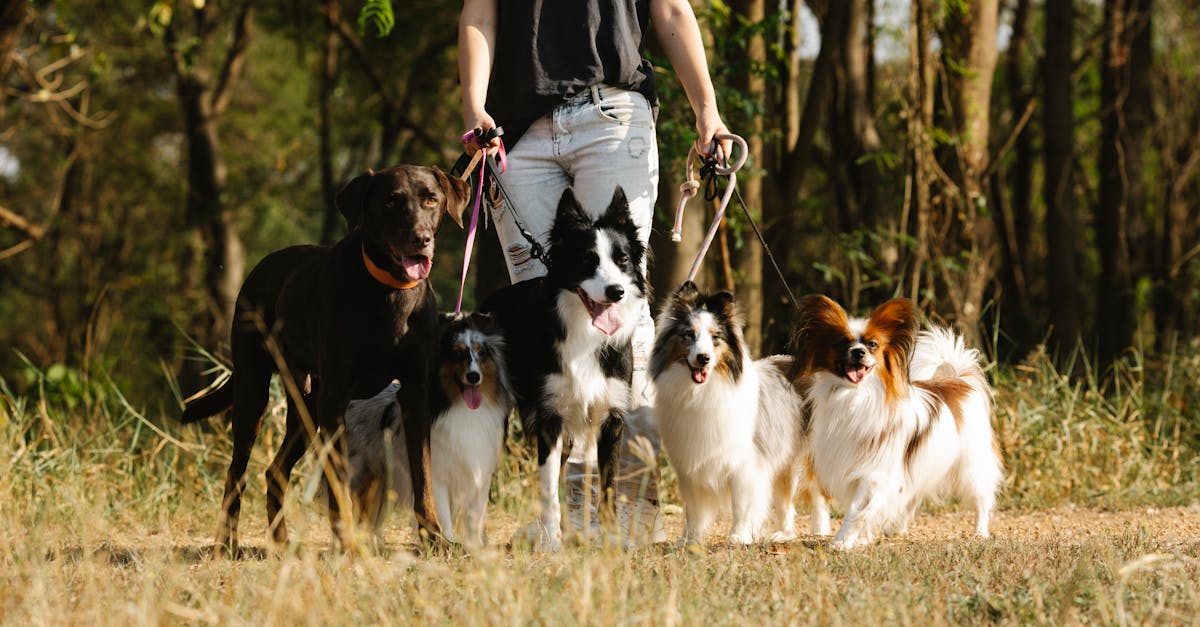 découvrez des activités de groupe captivantes pour renforcer les liens, favoriser le travail d'équipe et garantir des moments mémorables entre amis, famille ou collègues. idéales pour toutes les occasions, ces activités vous permettront de créer des souvenirs inoubliables tout en s'amusant.