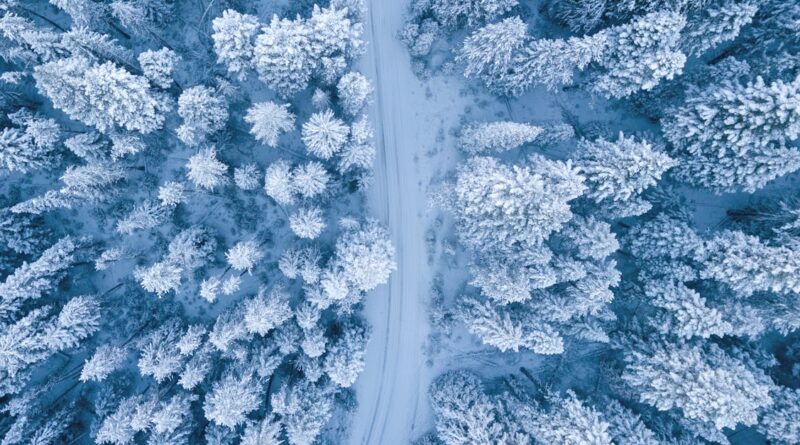 découvrez l'univers fascinant de l'outdoor : aventures en pleine nature, activités de plein air, conseils d'équipement et inspirations pour explorer les grands espaces. préparez-vous à sortir et à profiter de chaque instant en extérieur.