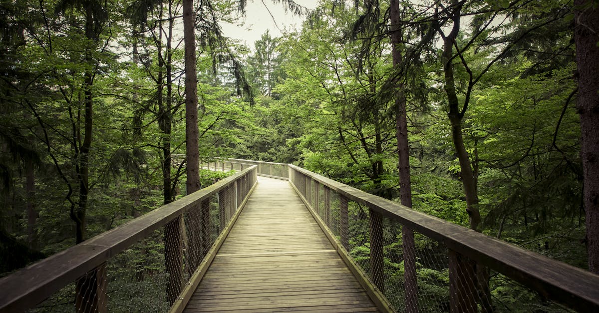 découvrez l'univers fascinant de l'outdoor : conseils, équipements et astuces pour profiter pleinement des activités en plein air. que vous soyez amateur de randonnée, de camping ou d'aventures extrêmes, plongez dans nos guides pour explorer la nature comme jamais auparavant.