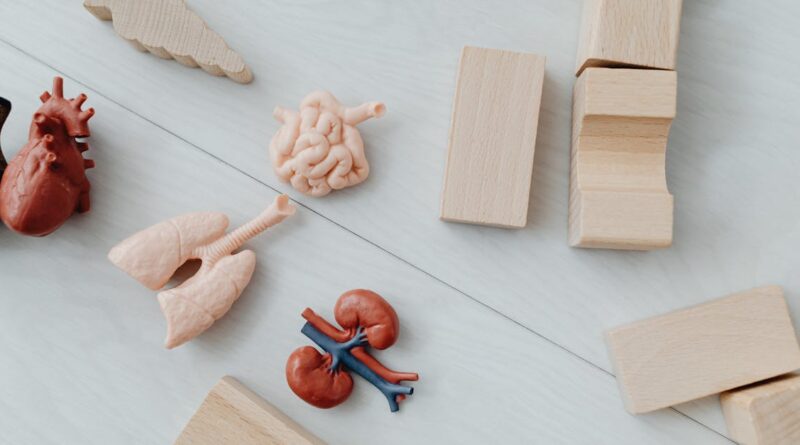 découvrez l'importance des bilans de santé pédiatriques pour assurer le développement harmonieux de votre enfant. un contrôle médical régulier permet de détecter précocement d'éventuels problèmes de santé et de suivre sa croissance en toute sérénité.