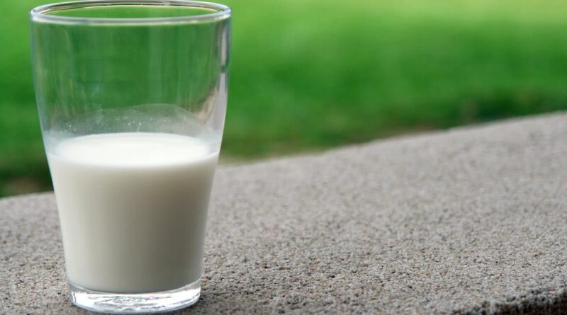 découvrez les bienfaits du lait entier : une source riche en calcium et en vitamines, parfait pour une alimentation équilibrée. apprenez comment l'intégrer dans vos recettes et profitez d'un goût crémeux inégalé.